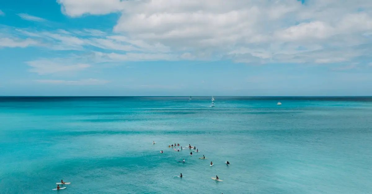 Les meilleures expériences nautiques à vivre au moins une fois