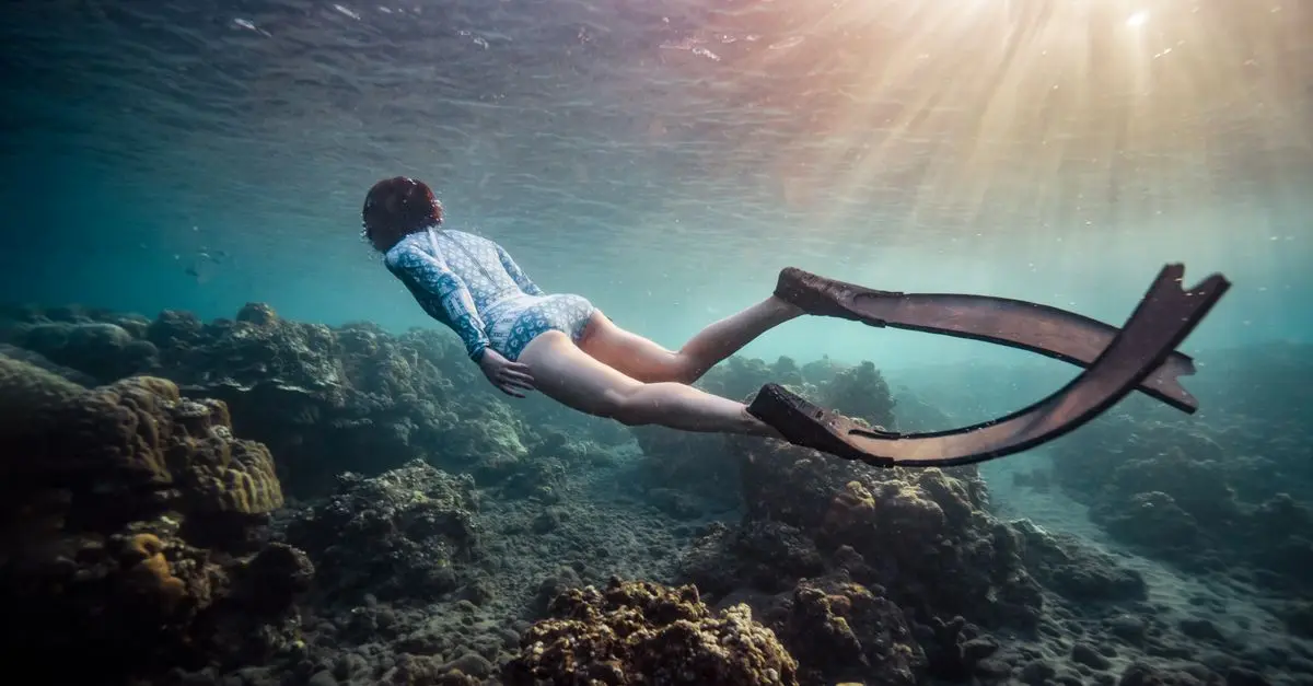 Le meilleur équipement pour la plongée sous-marine