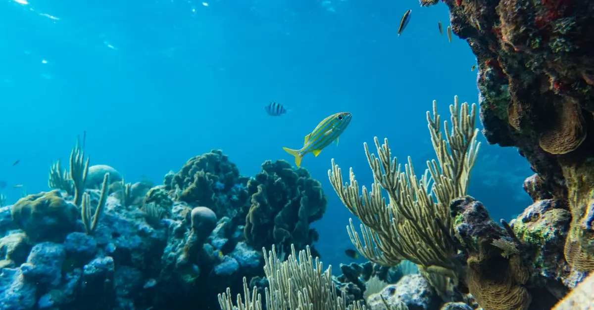Les meilleures sensations nautiques à découvrir lors de vos prochaines vacances