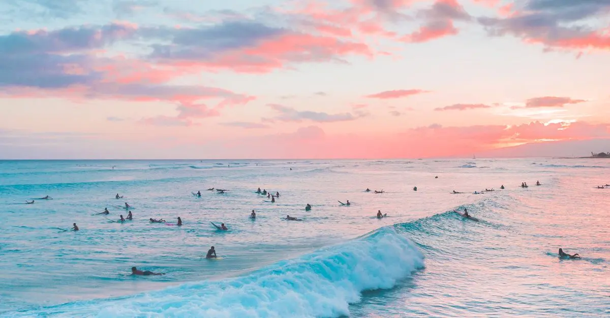 Surf vs Bodyboard : lequel choisir selon votre profil ?