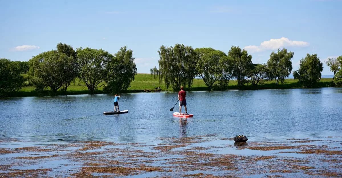 Les meilleures activités nautiques à essayer en famille