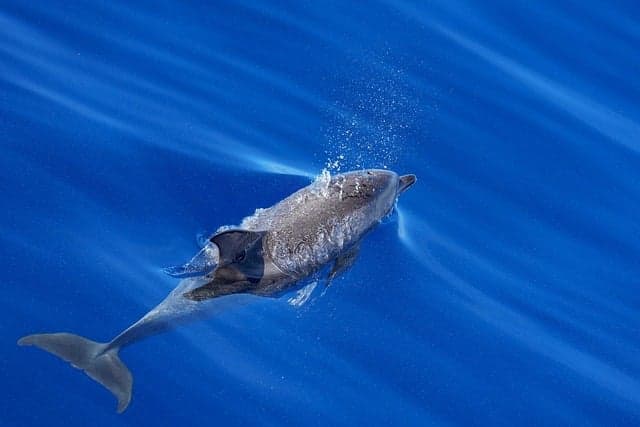 Les meilleures destinations pour des sensations nautiques uniques